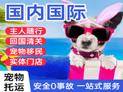 晋江空运代理国际宠物托运 【国